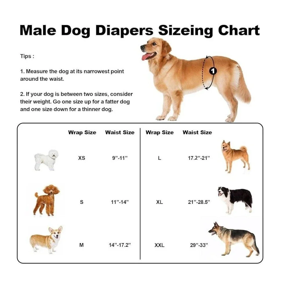 Washable Dog Diapers Male Reusable Pack of 3 High Absorbing Premium Belly BandXL